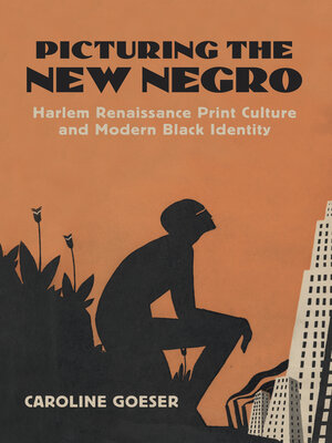 cover image of Picturing the New Negro